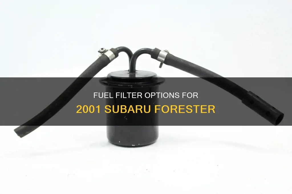 what fuel filter to get for 2001 subaru forester