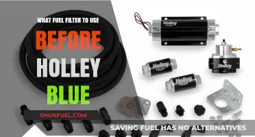 Fuel Filter Options for Holley Blue: What's Best?