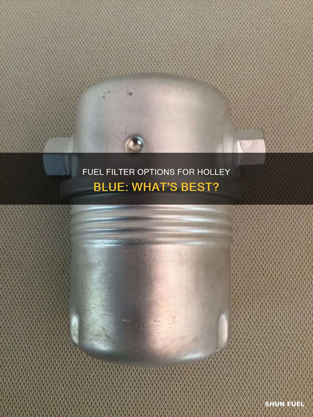 what fuel filter to use before holley blue