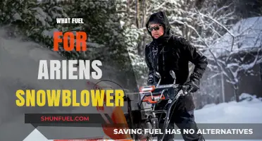Best Fuel for Ariens Snowblower: Expert Tips and Recommendations