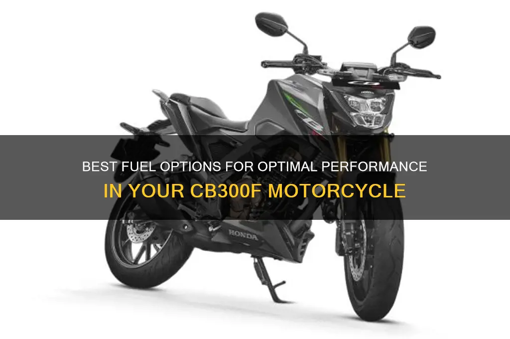what fuel for cb300f
