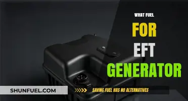 Choosing the Right Fuel for Your EFT Generator: A Comprehensive Guide