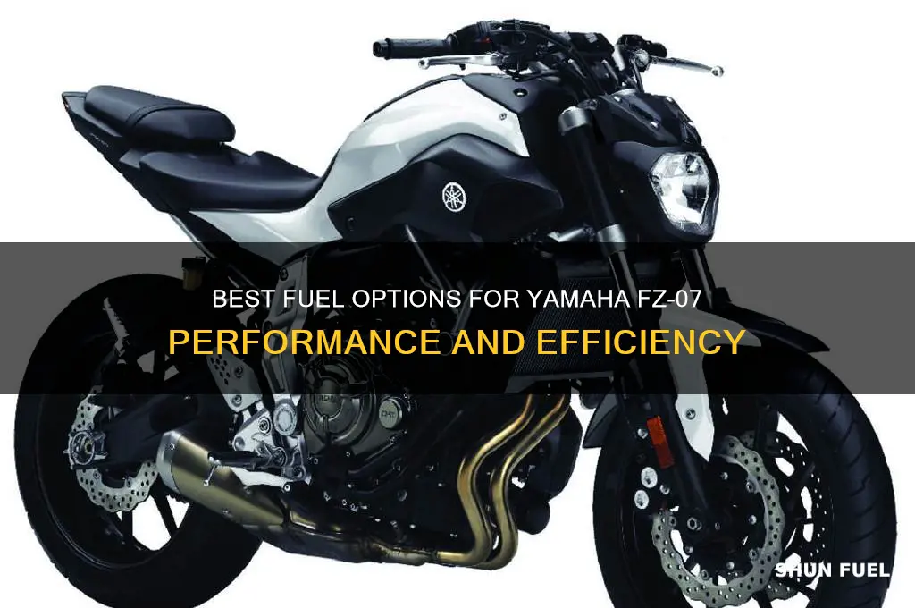 what fuel for fz 07