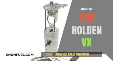 Best Fuel Options for Holden VX: Performance and Efficiency Guide