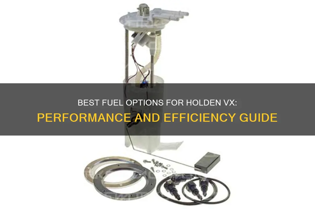 what fuel for holden vx