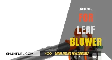 Best Fuel Types for Leaf Blowers: Gas, Electric, or Battery?