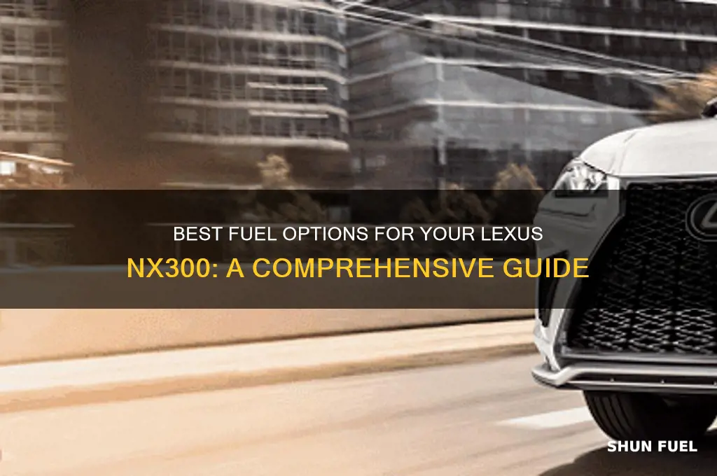 what fuel for lexus nx300