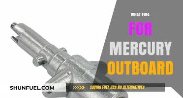 Best Fuel Choices for Mercury Outboard Motors: A Comprehensive Guide