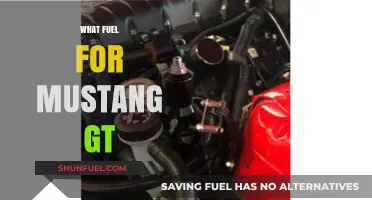 Best Fuel Options for Mustang GT Performance and Efficiency