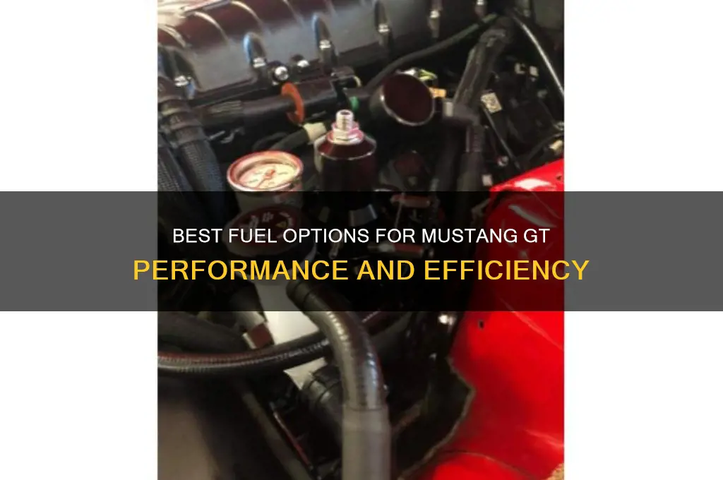 what fuel for mustang gt
