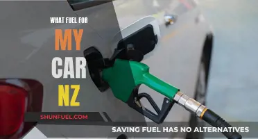 Choosing the Right Fuel for Your Car in NZ