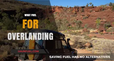 Best Fuel Choices for Overlanding Adventures: Diesel, Gas, or Dual?