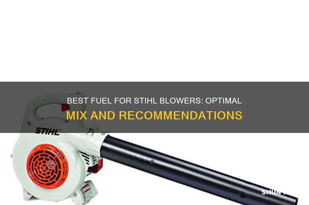 what fuel for stihl blower