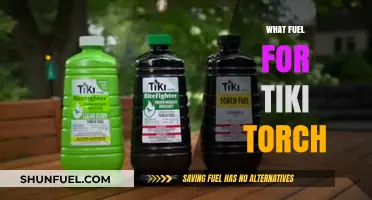 Best Tiki Torch Fuel Options for Safe, Long-Lasting Ambiance