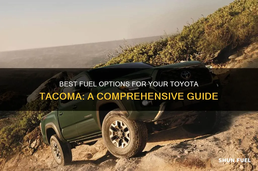 what fuel for totota tacoma