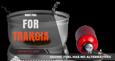 Best Fuel Options for Trangia Stoves: A Comprehensive Guide
