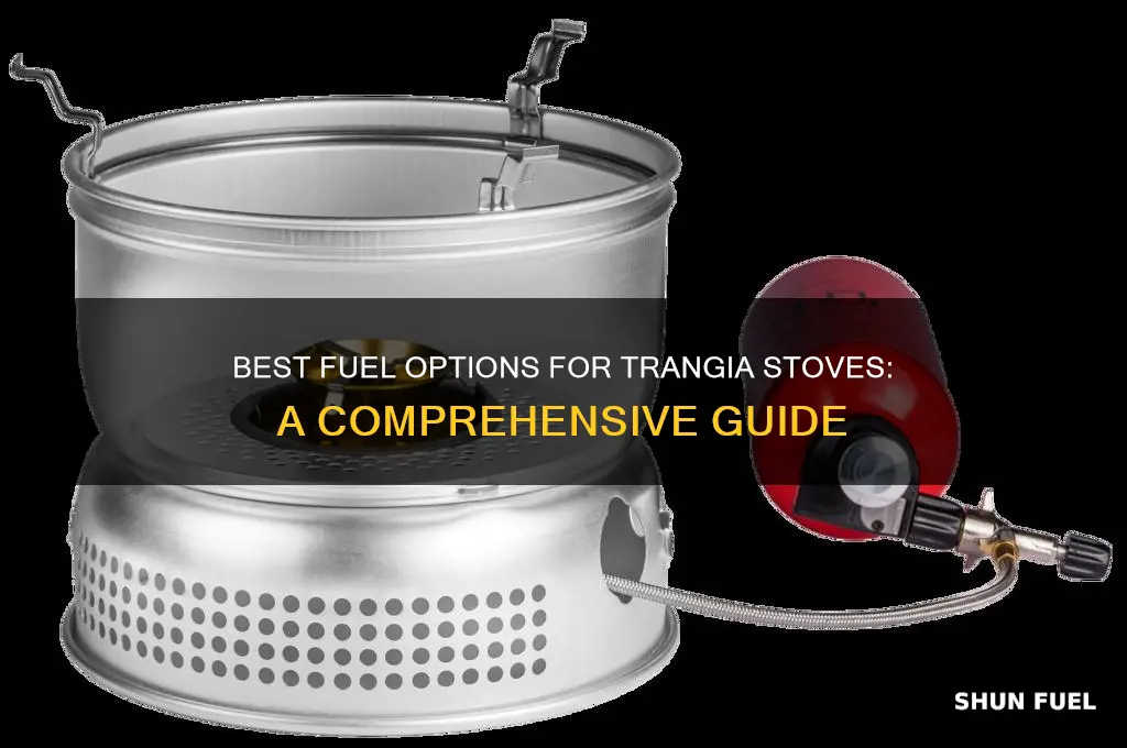 what fuel for trangia