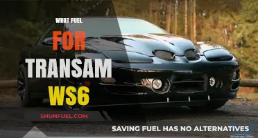 Optimal Fuel Choices for Your Trans Am WS6 Performance