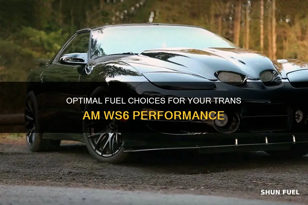 what fuel for transam ws6