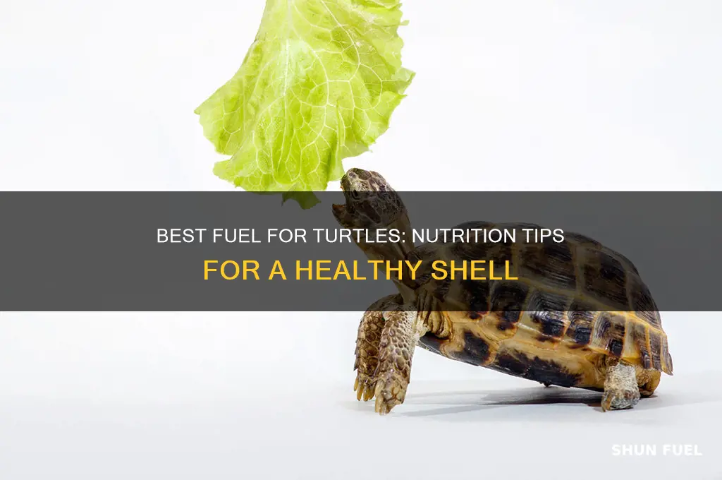 what fuel for turtle