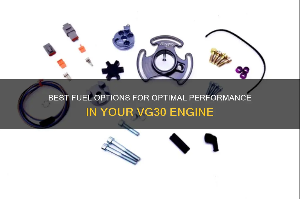what fuel for vg30