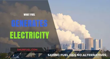 Powering the World: Exploring Fuels That Generate Electricity