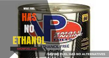 Pure Fuel Options: Ethanol-Free Choices for Your Vehicle's Performance