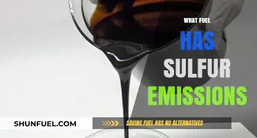 Sulfur Emissions: Identifying Fuels with High Sulfur Content