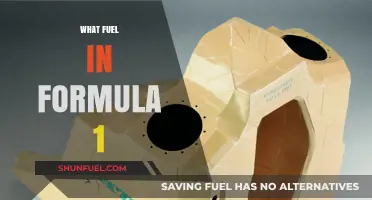 Formula 1 Fuel Evolution: Powering Speed with Advanced Energy Solutions