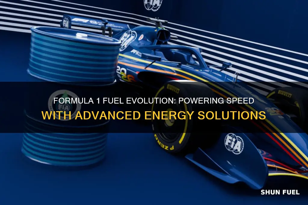 what fuel in formula 1