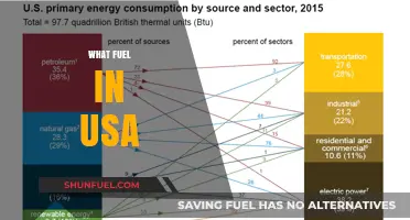 Exploring America's Energy Sources: What Fuels the USA Today?