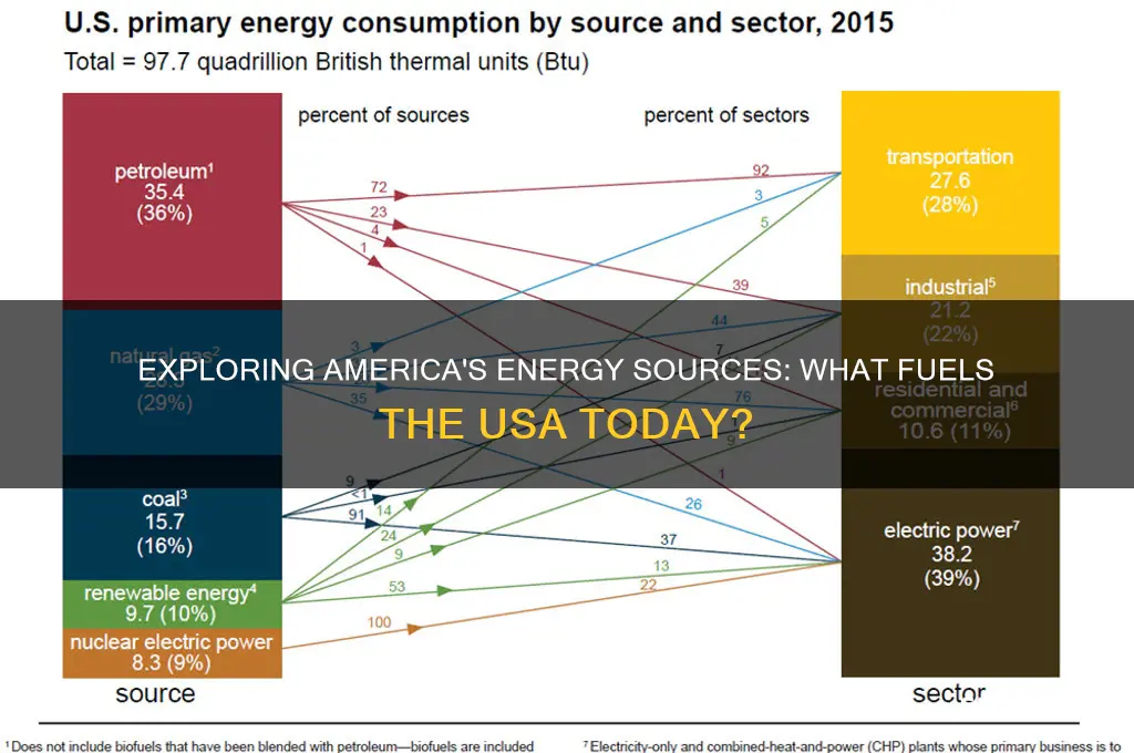 what fuel in usa