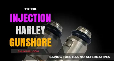 Harley Gunshore's Fuel Injection System: Performance, Upgrades, and Benefits