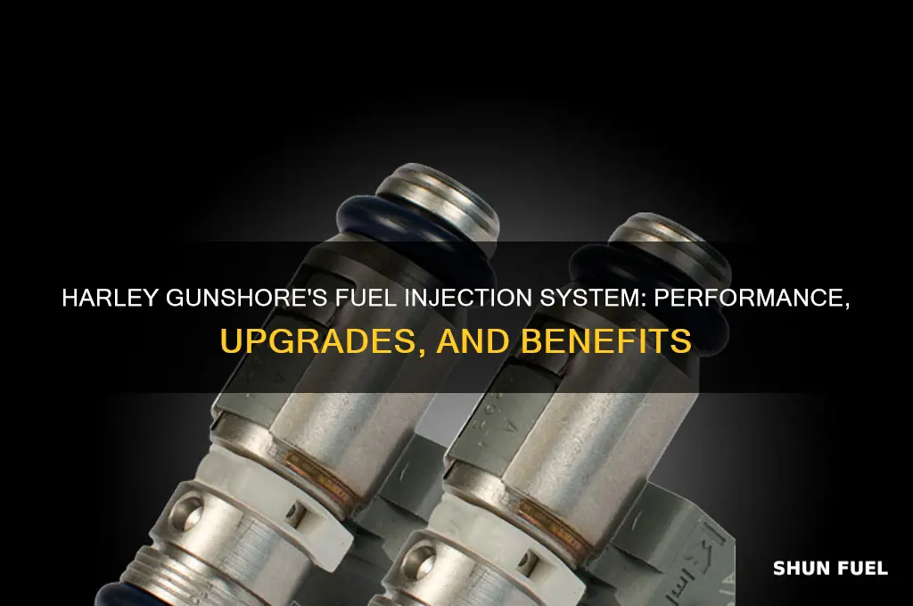 what fuel injection harley gunshore