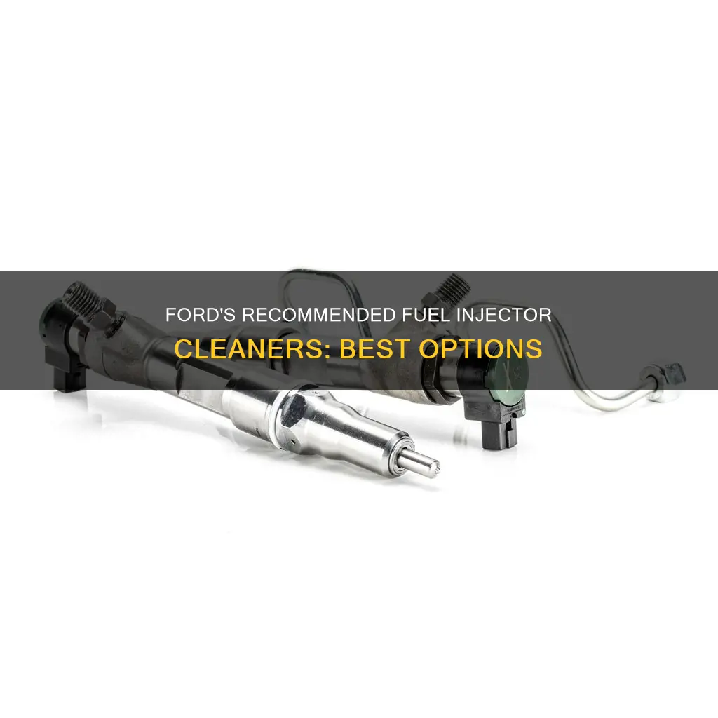 what fuel injector cleaner does ford recommend