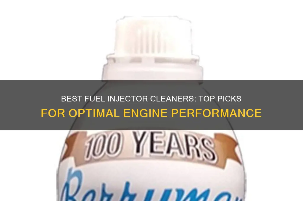 what fuel injector cleaner should i use