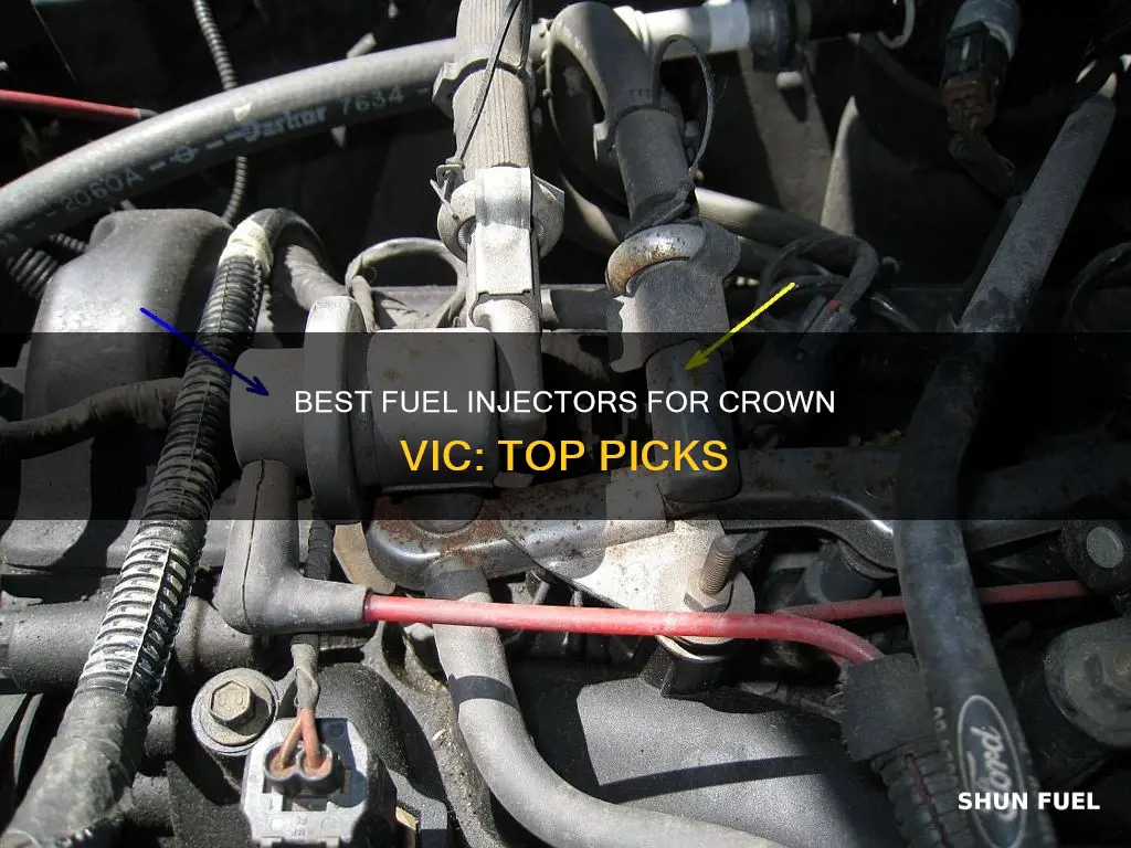 what fuel injector for crown vic
