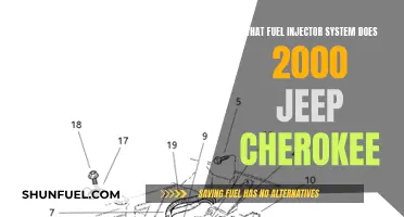 Fuel Injector System of Jeep Cherokee: 2000 Edition