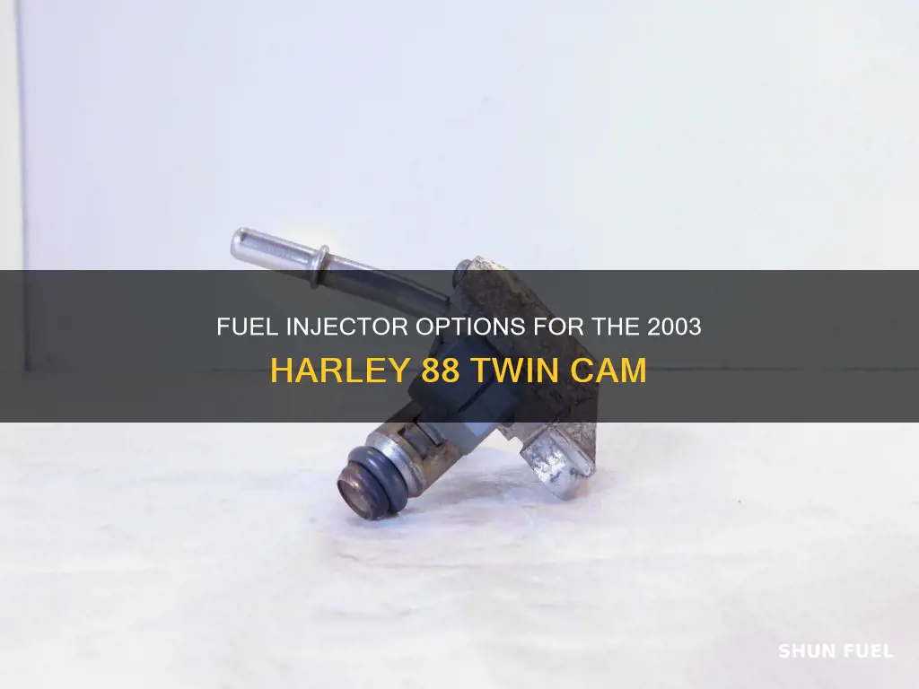 what fuel injectors come in 03 harley 88 twin cam