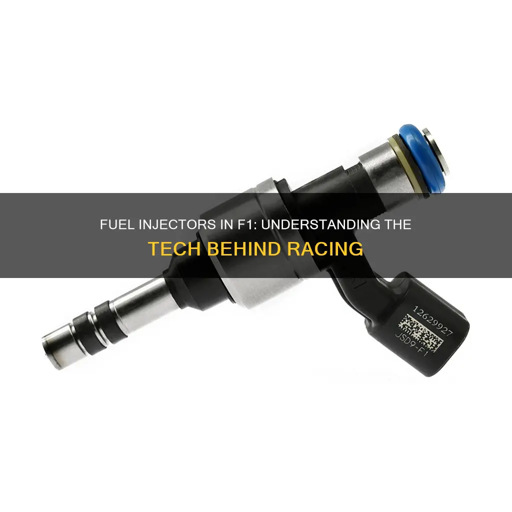 what fuel injectors do f1 cars use