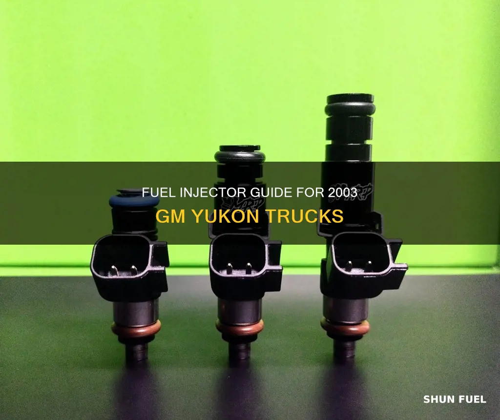 what fuel injectors do i have gm truck 2003 yukon