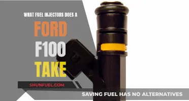 Ford F100 Fuel Injector Compatibility Guide