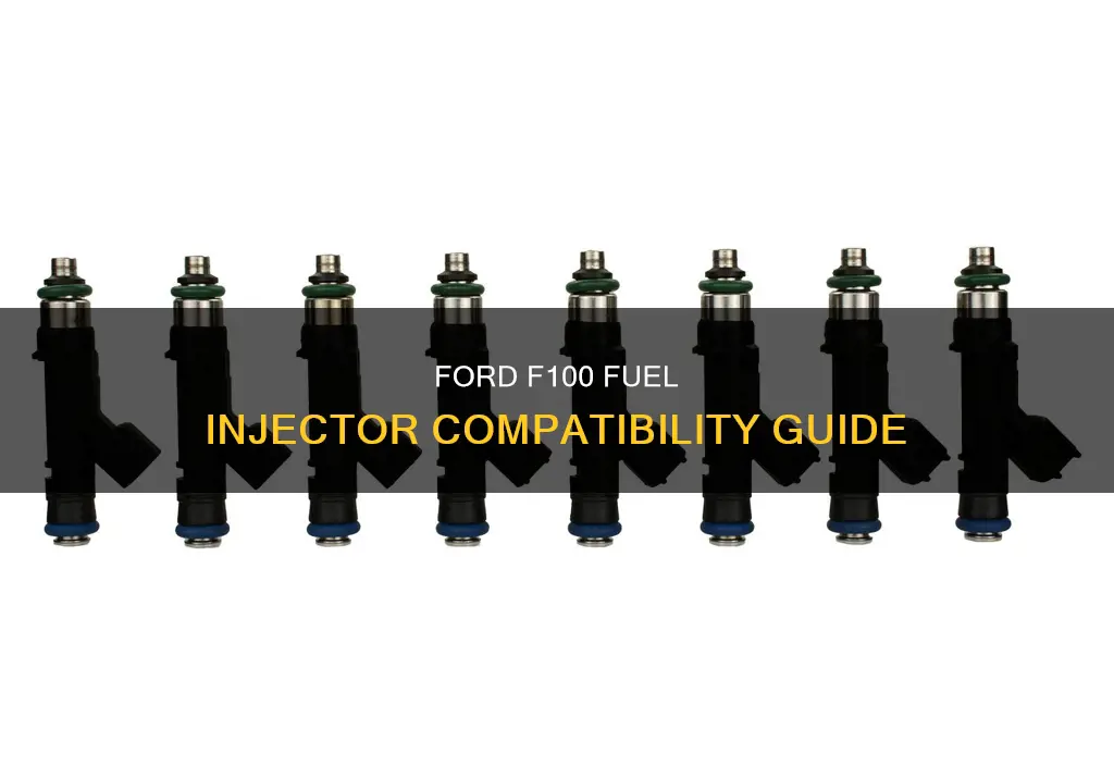 what fuel injectors does a ford f100 take