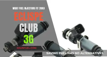 Fuel Injector Compatibility for 2003 Eclipse Club 3G