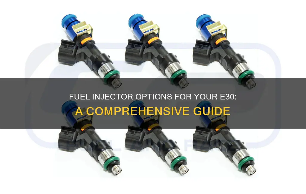 what fuel injectors to put in an e30