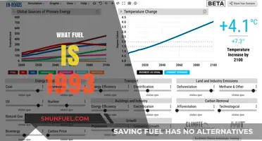 Exploring the Dominant Fuel Sources That Powered the World in 1993