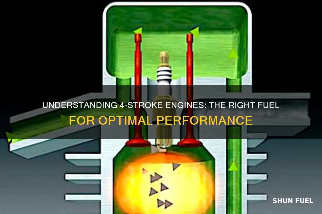 what fuel is 4 stroke