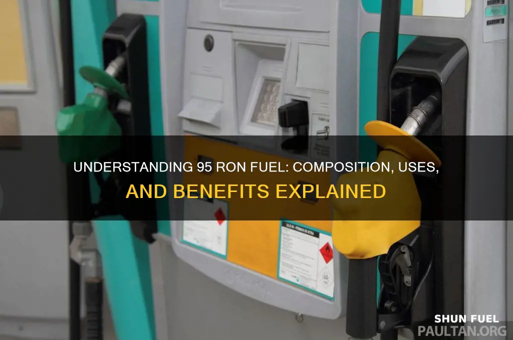 what fuel is 95 ron