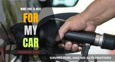 Best Fuel for Your Car: Unleaded or Premium?