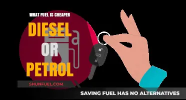 Diesel vs. Petrol: Which Fuel Costs Less?